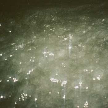 Album Ben Kaczor: Sirene