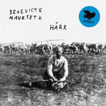 LP Benedicte Maurseth: Hárr