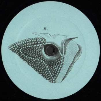 LP Benjamin Fröhlich: Rude Movements