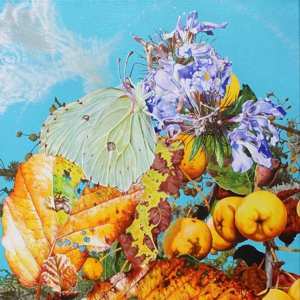 CD Bennett Wilson Poole: I Saw A Star Behind Your Eyes, Don't Let It Die Away