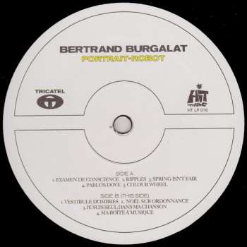 2LP Bertrand Burgalat: Portrait-Robot