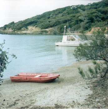 CD Beth Orton: Daybreaker