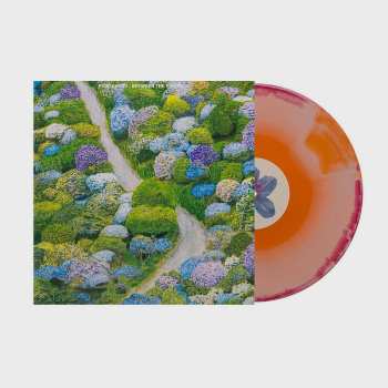 LP Fiddlehead: Between the Richness CLR