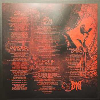 2LP/2CD/Doos Beyond The Black: Beyond The Black LTD | NUM | CLR