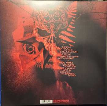 2LP/2CD/Doos Beyond The Black: Beyond The Black LTD | NUM | CLR