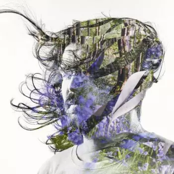 Bibio: Ribbons