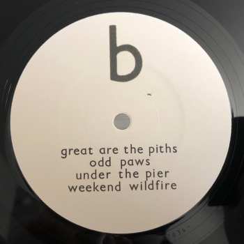 2LP Bibio: Vignetting The Compost