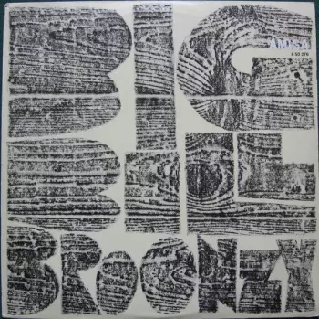 Big Bill Broonzy: Big Bill Broonzy