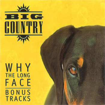 4CD/Doos Big Country: Why The Long Face DLX