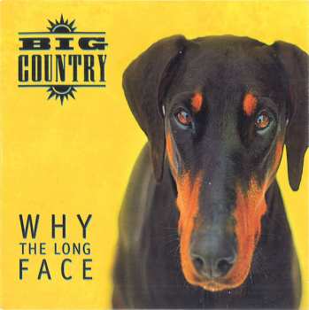 4CD/Doos Big Country: Why The Long Face DLX