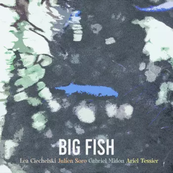 Big Fish: Big Fish