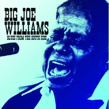 CD Big Joe Williams: Blues From The South Side