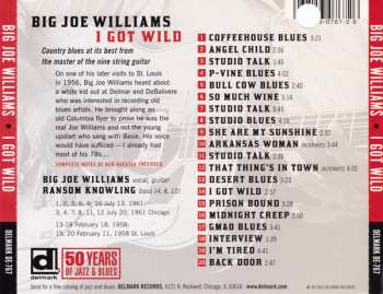 CD Big Joe Williams: I Got Wild