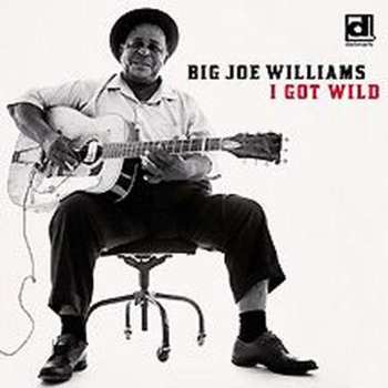 Album Big Joe Williams: I Got Wild