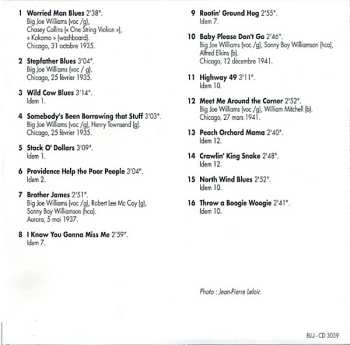 CD Big Joe Williams: Nine Strings Guitar Blues