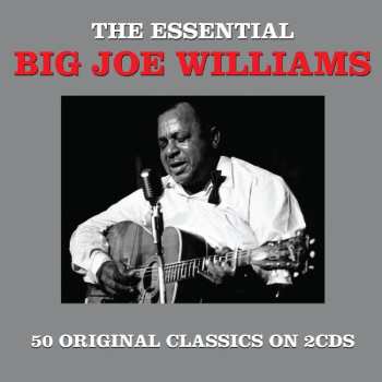 2CD Big Joe Williams: The Essential