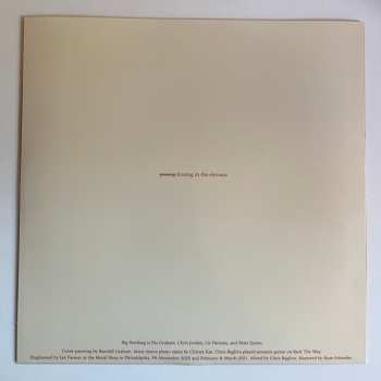LP Big Nothing: Dog Hours CLR | LTD