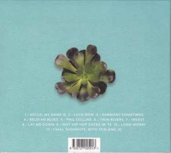 CD Big Scary: Not Art