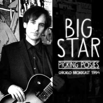 CD Big Star: Picking Posies
