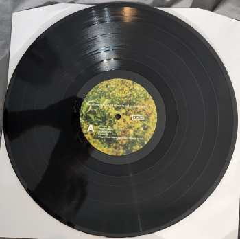 2LP Big Thief: Dragon New Warm Mountain I Believe In You