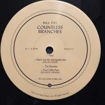 2LP Bill Fay: Countless Branches DLX | LTD