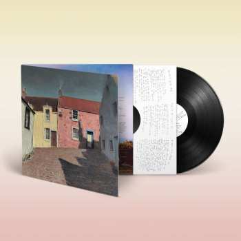 LP Bill Ryder-Jones: Iechyd Da (lp)