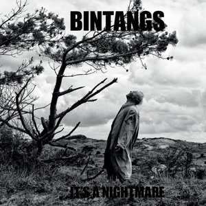 Album Bintangs: It's A Nightmare