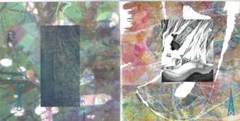 CD Biota: Half A True Day