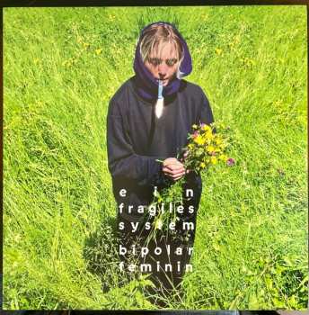 Album Bipolar Feminin: Ein Fragiles System