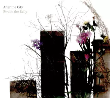Bird In The Belly: After The City