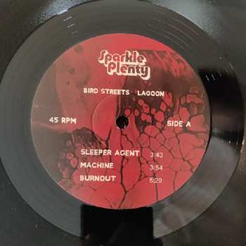 2LP Bird Streets: Lagoon