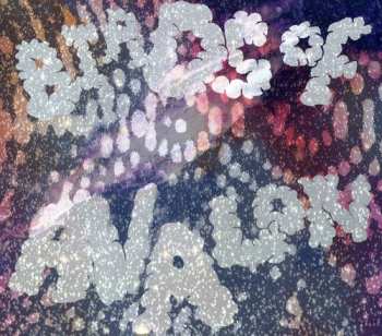 Album Birds Of Avalon: Birds Of Avalon