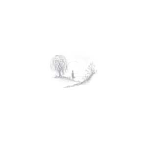 LP Birds Of Passage: Without The World LTD | CLR