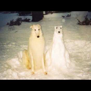 LP Birth Day: Boyhood CLR