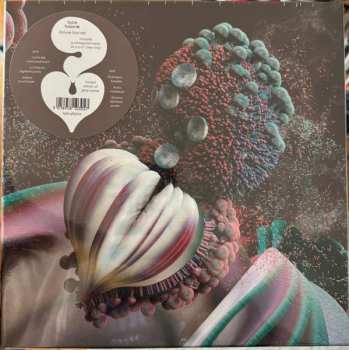 Doos/2EP Björk: Fossoræ DLX | LTD | CLR