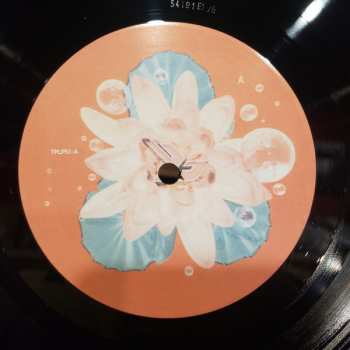 LP Björk: Post