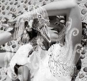 CD Björk: Vespertine