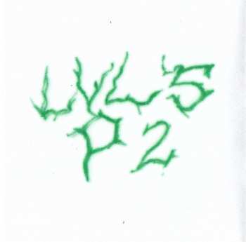 CD Bktherula: LVL5 P2