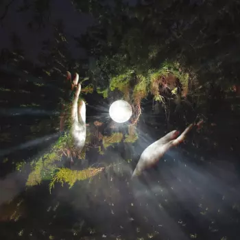 Black Books: Eyes On The Mirror, Head In The Clouds