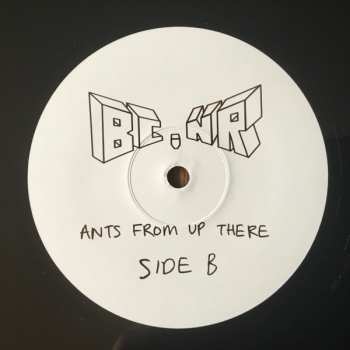 4LP/Doos Black Country, New Road: Ants From Up There DLX | LTD