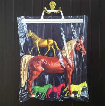 4LP/Doos Black Country, New Road: Ants From Up There DLX | LTD