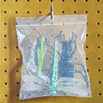 4LP/Doos Black Country, New Road: Ants From Up There DLX | LTD