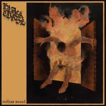 CD Black Curse: Endless Wound DIGI