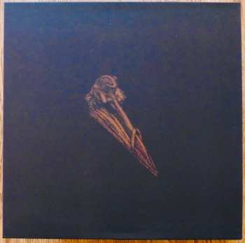 LP Black Holes Are Cannibals: Surfacer LTD