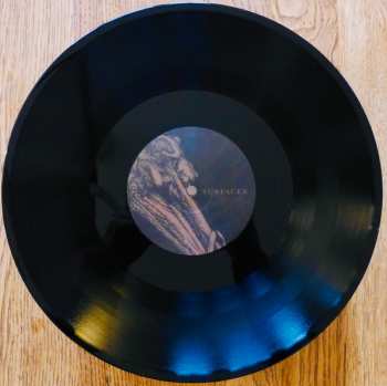 LP Black Holes Are Cannibals: Surfacer LTD
