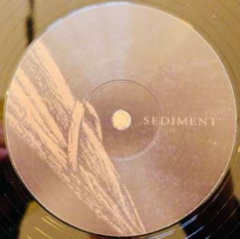 LP Black Holes Are Cannibals: Surfacer LTD