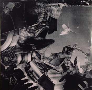LP Black Midi: Schlagenheim