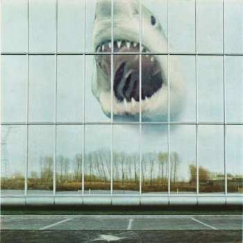 Album Black Mountain: Wilderness Heart