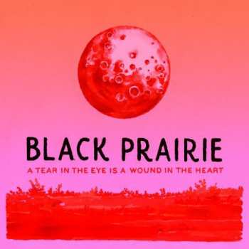 2LP Black Prairie: A Tear In The Eye Is A Wound In The Heart