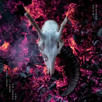 Album Andrea Love: All We Need